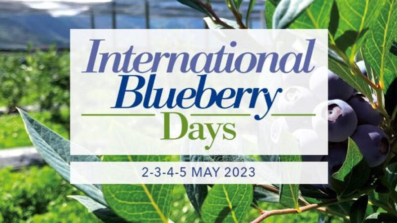 Macfrut 2023: All’International Blueberry Days il case history del Portogallo