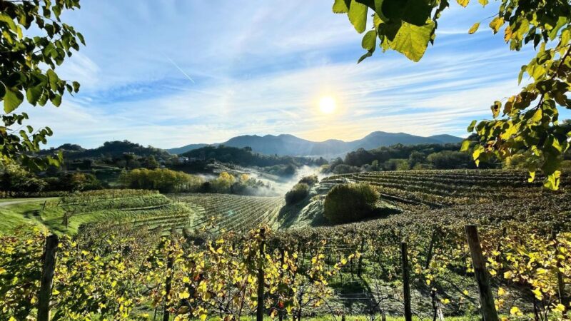 Strada del vino Asolo e Montello: i cento orizzonti del vino.