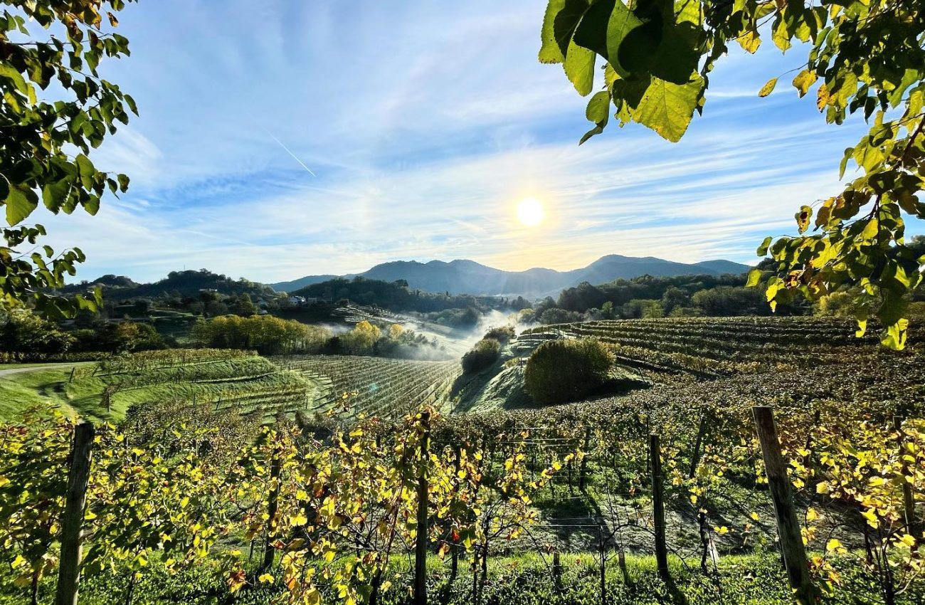 Strada del vino Asolo e Montello: i cento orizzonti del vino.