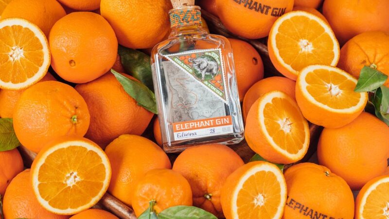 Elephant Gin ottiene la certificazione B Corp