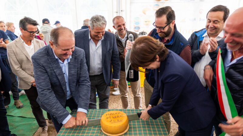 Mostra dei formaggi del Grappa e della montagna italiana,