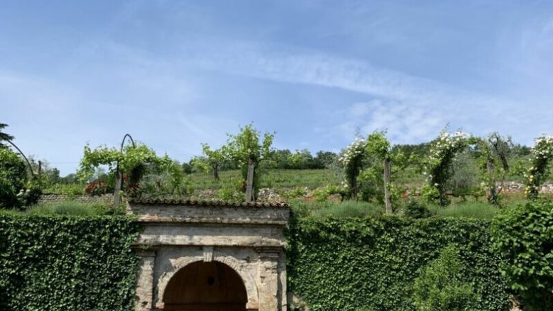 Vinitaly, il turismo del vino coinvolge 13,4 milioni di italiani