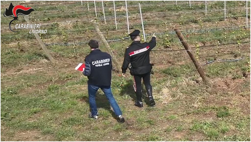 Ospiti Cas sfruttati nei campi, 10 arresti per Caporalato in Toscana