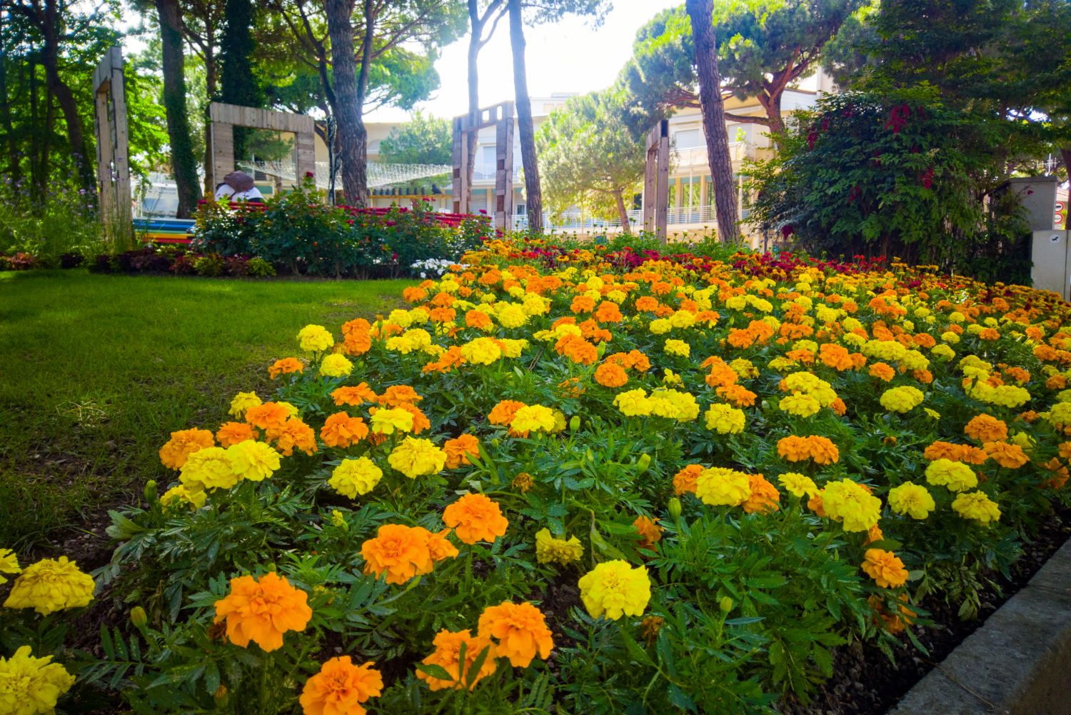 Cervia Città Giardino, arriva la mostra d’arte floreale open air più grande d’Europa