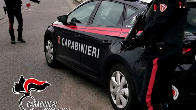 Maxi sequestro di 285 chili di cocaina nel Reggino, un arresto