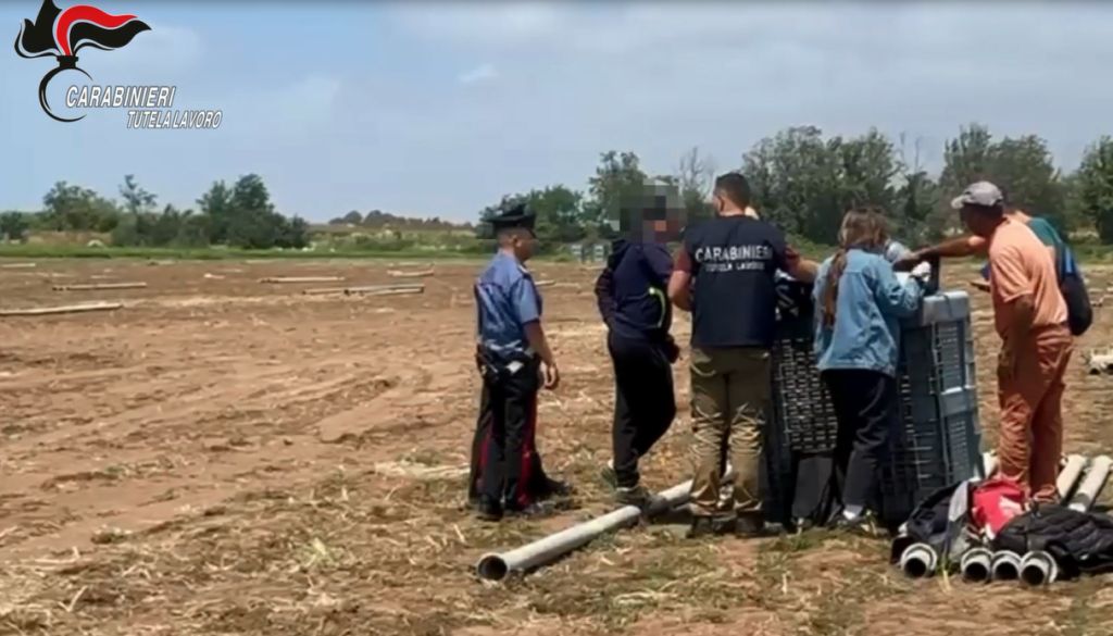 Blitz dei Carabinieri contro il Caporalato, il 53% delle aziende irregolari