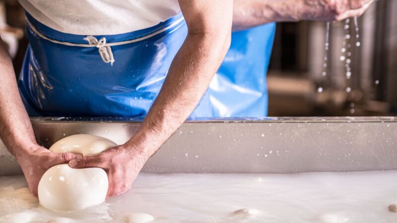 Mozzarella di bufala, a Napoli il primo congresso internazionale