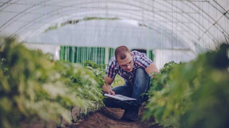 Agroqualità diventa RINA Agrifood