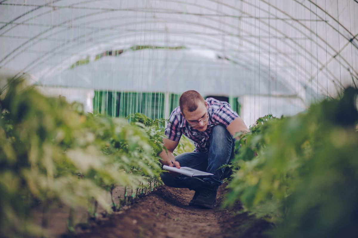 Agroqualità diventa RINA Agrifood