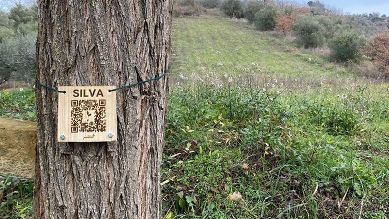 Un albero a ogni dipendente, nasce il bosco Intecs in Abruzzo