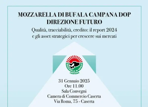 Mozzarella di Bufala Campana DOP, giornata di studio a Caserta