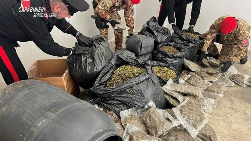 Più di 30 kg di marijuana nascosti in casa nella Locride, un arresto