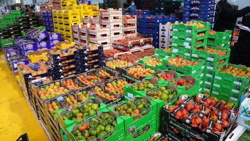 Il settore dell’agroalimentare traina l’economia italiana, Lollobrigida “Quadro incoraggiante”