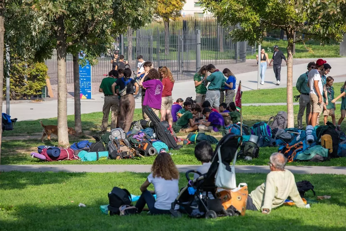 Smog, Crea “Il verde urbano una preziosa risorsa ecologica e ambientale”