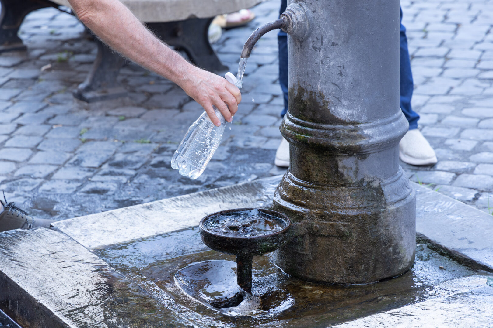 Online il nuovo sito dedicato al clima di Roma, Gualtieri “Temi ambientali fondamentali per il nostro tempo”