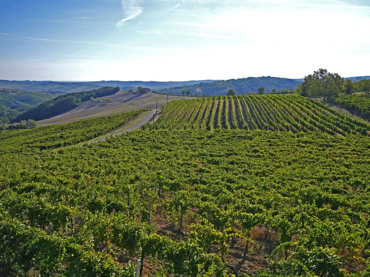 Al via il Piano Nazionale Sementi Biologiche finanziato dal Masaf e attuato dal CREA