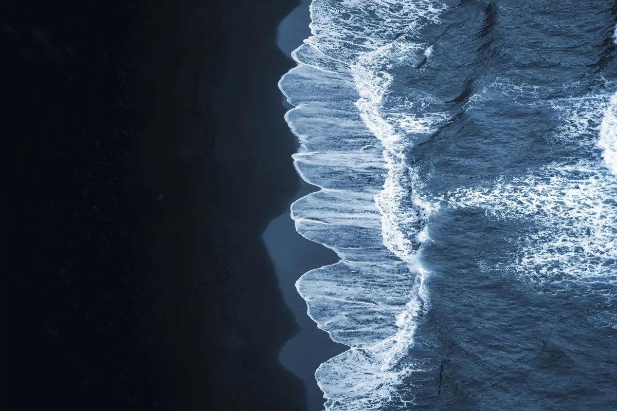 IL CNR partecipa allo studio sul ciclo della CO2