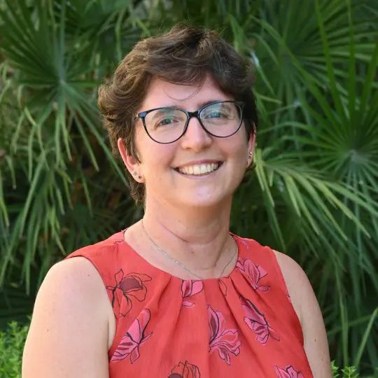 Batterie e transizione ambientale, Laura Castelli confermata alla guida del CDCNPA