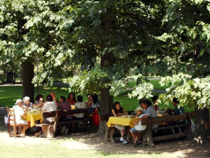 Il Mezzogiorno guida la crescita dell’agriturismo nel 2024