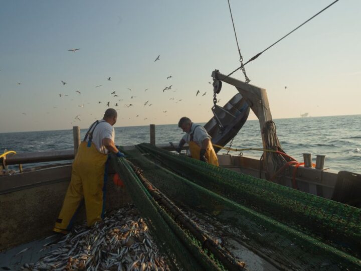 Pesca, i sindacati “Positivo il Ddl Mare, ma rimane il nodo della CISOA”