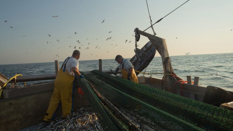 Pesca, i sindacati “Positivo il Ddl Mare, ma rimane il nodo della CISOA”
