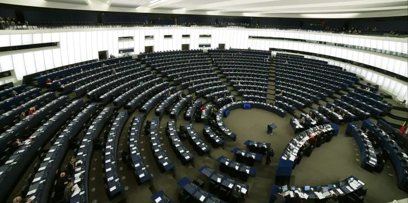 Dall’Europarlamento prime norme dell’Unione europea per proteggere cani e gatti da maltrattamenti