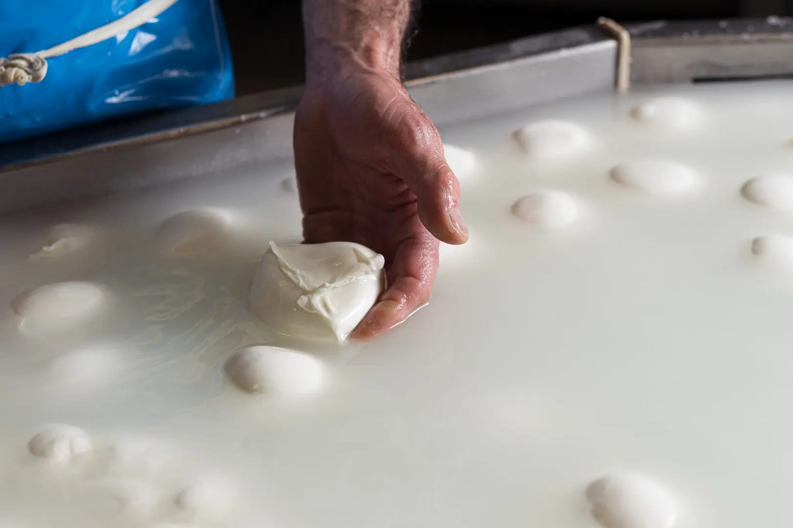 Mozzarella Dop, l’allarme del Consorzio “Impennata dei costi di produzione a causa della crisi in Iran, possibili rialzi dei listini”