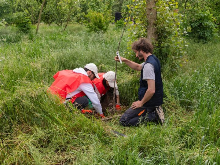Il Progetto Boschi di E.ON supera i 150.000 alberi piantati