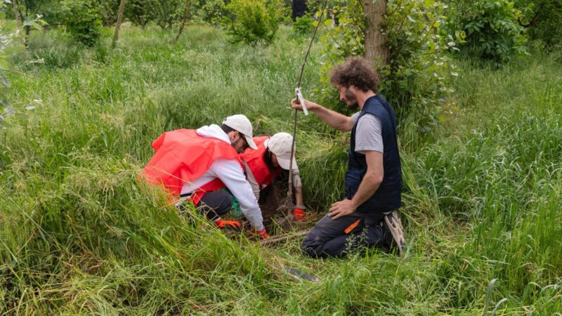 Il Progetto Boschi di E.ON supera i 150.000 alberi piantati
