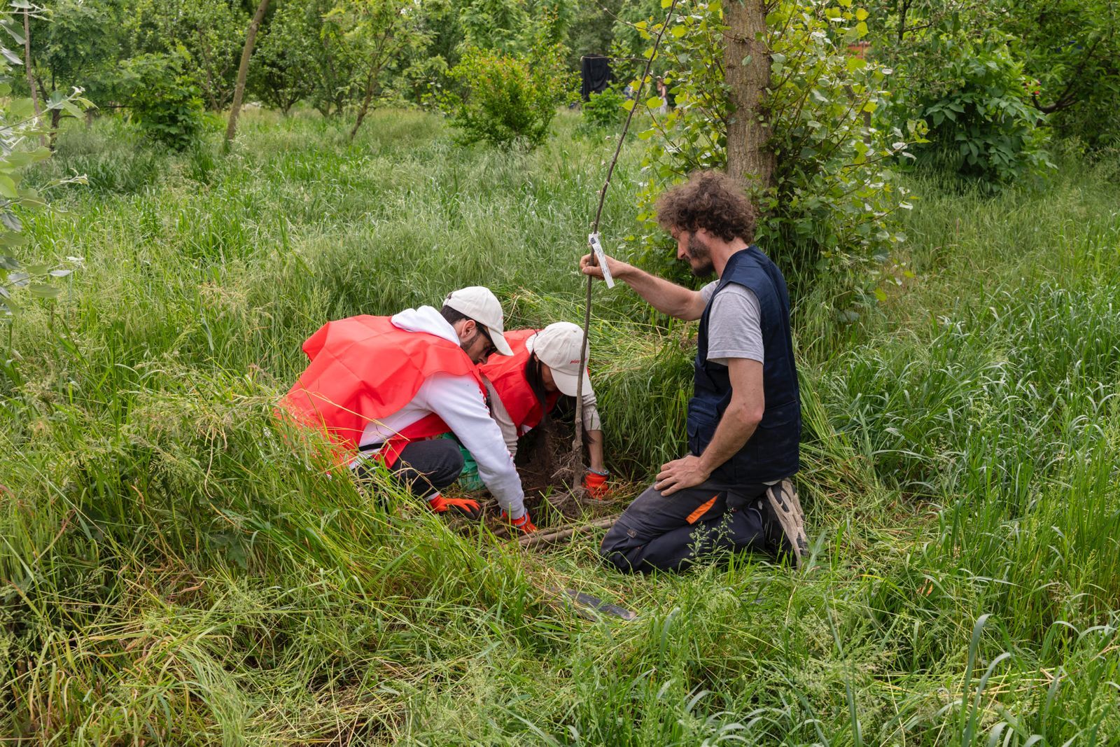 Il Progetto Boschi di E.ON supera i 150.000 alberi piantati