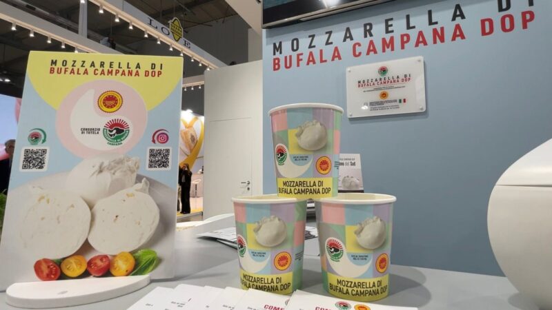 Mozzarella di Bufala Campana Dop, nel 2025 57mln di chili prodotti e 38% esportato