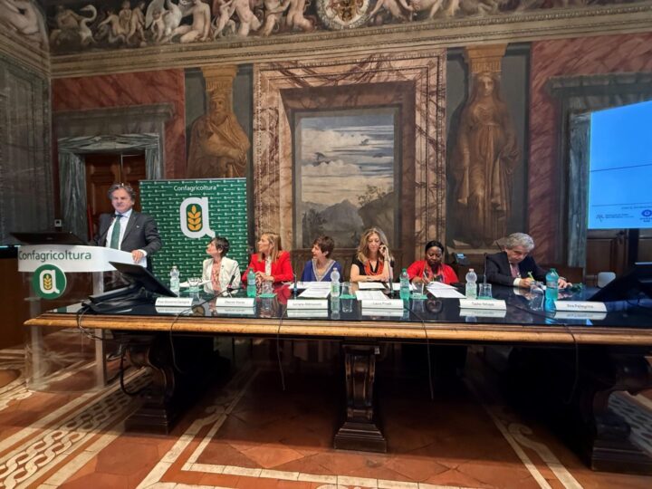 Premio “Ranieri Filo della Torre” per custodire la cultura dell’olio