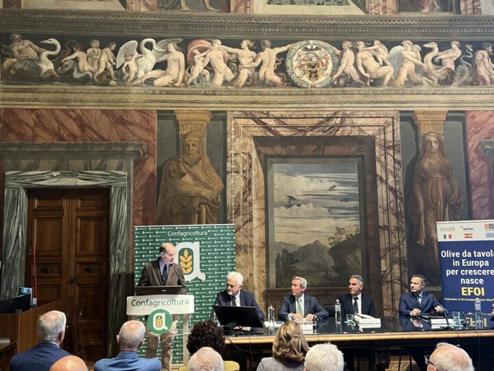 Nasce Efoi per dare voce ai produttori europei da olive da tavola / Video