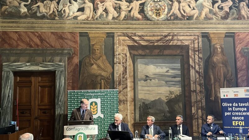 Nasce Efoi per dare voce ai produttori europei da olive da tavola / Video