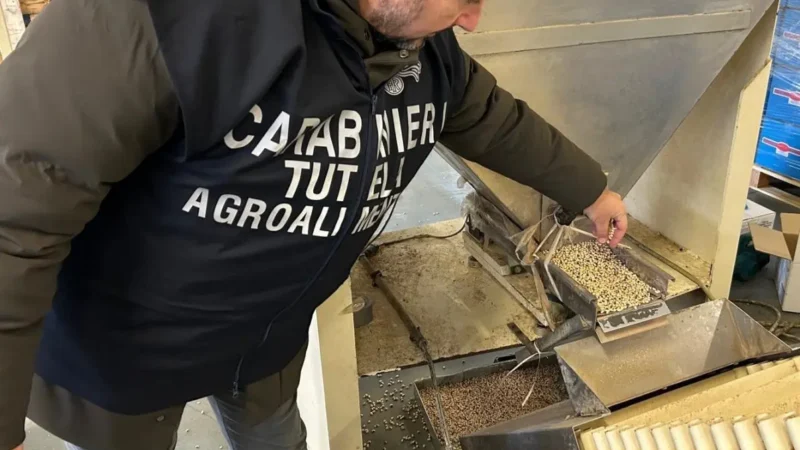 A Reggio Emilia sequestrate 90 tonnellate di cereali e legumi invase dai roditori. Lollobrigida “Controlli decisivi per tutela salute e Made in Italy”