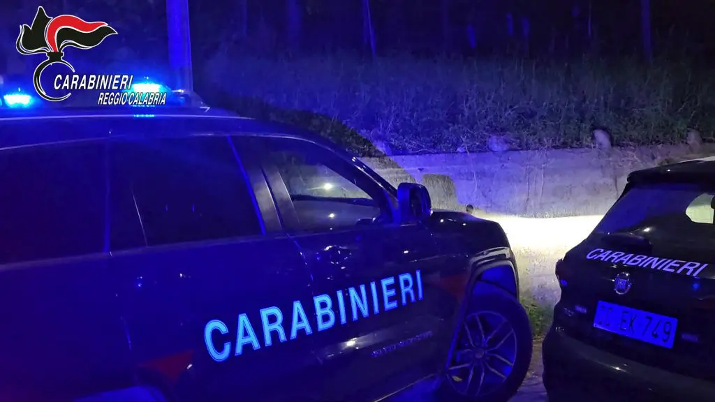 ‘Ndrangheta, maxi blitz antidroga in tutta Italia con 35 arresti