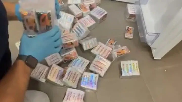 Venti chili di hashish nascosti in confezioni di papaya, un arresto a Cagliari