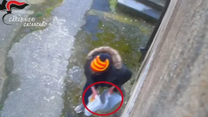 Droga comprata con il reddito di cittadinanza, 24 indagati tra Catanzaro e Vicenza
